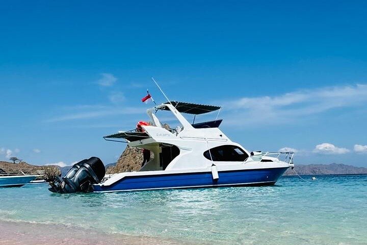 Early Morning Group Speedboat Tour to Komodo National Park