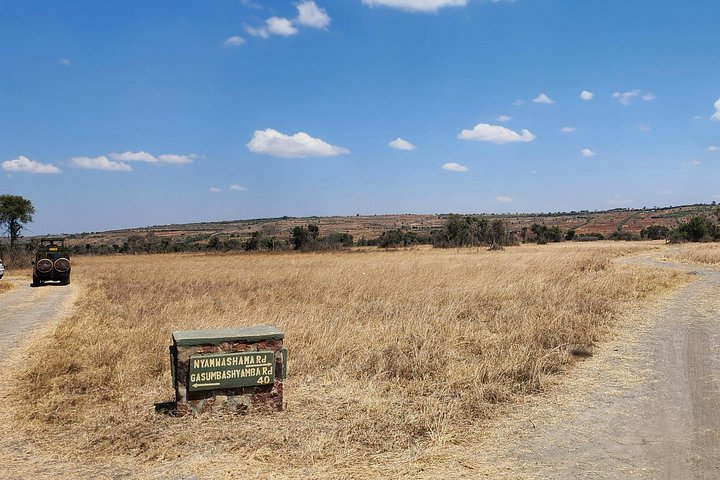 Day Trip Safari in Akagera Park with hotel pickup and lunch