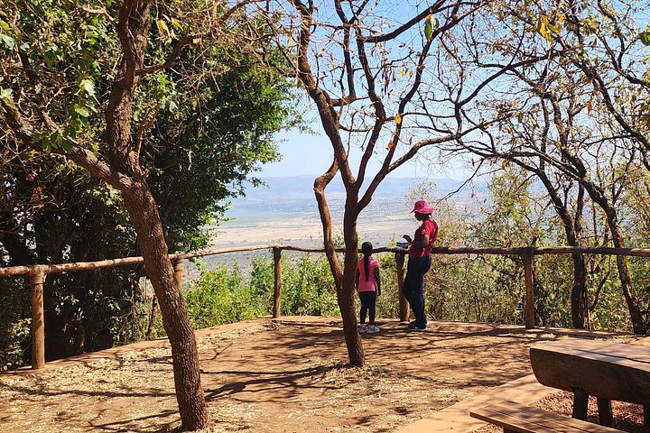 Day Trip Safari in Akagera Park with hotel pickup and lunch