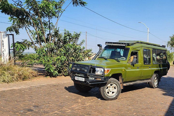 Day Trip Safari in Akagera Park with hotel pickup and lunch