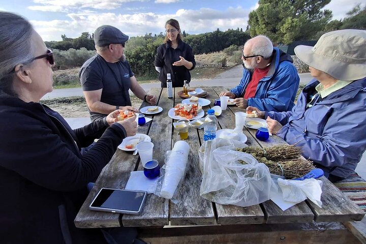 Kefalonia: Private Olive Oil, Honey & Wine Tasting Experience
