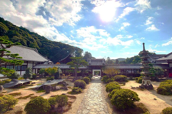 Slow Cycling Tour at Uji's Matcha Green Tea Fields and Heritage