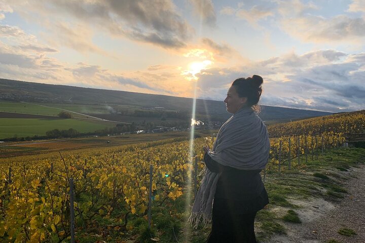 From Reims morning Champagne family growers
