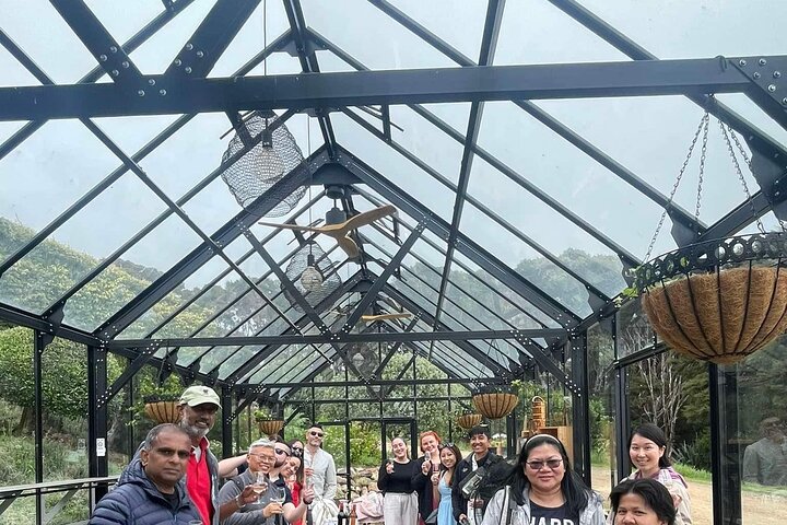 Auckland: Waiheke Island Scenic Tour 4 Vineyards, Local Guides