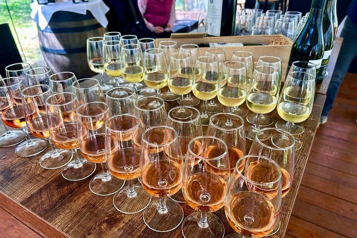 Auckland: Waiheke Island Scenic Tour 4 Vineyards, Local Guides