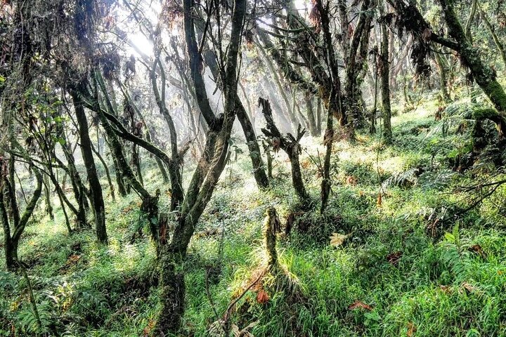 2 Days Hiking Moutain Muhabura