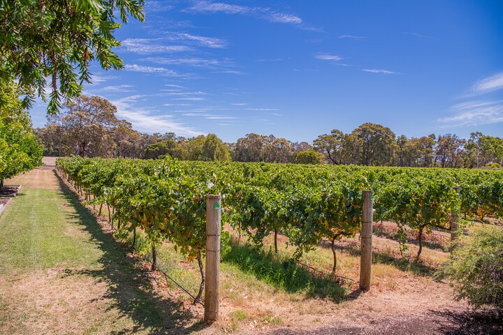 Margaret River Winery Tour with a'la carte lunch