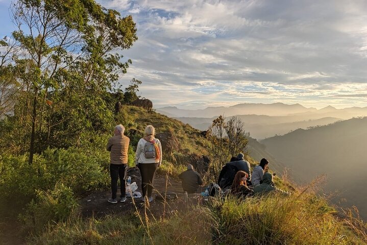 Green Magic Day Tour to Munnar