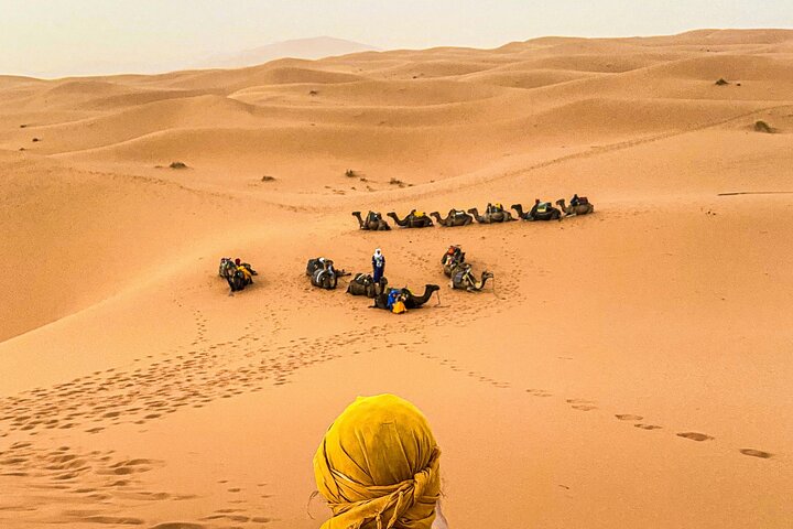 From Ouarzazate: 2 Days - 1 night Zagora Desert back to Marrakech
