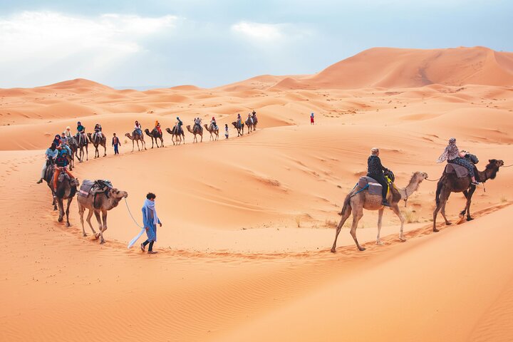 From Ouarzazate: 2 Days - 1 night Zagora Desert back to Marrakech