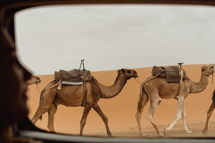 From Ouarzazate: 2 Days - 1 night Zagora Desert back to Marrakech
