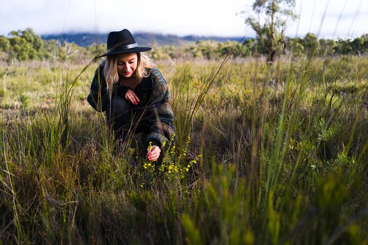 Small-Group Grampians Great Wildlife Escape Day Trip with Hiking