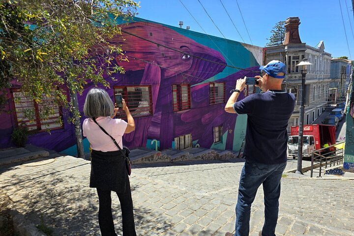 Santiago: Valparaiso, Viña del Mar & Casablanca Wine Tour