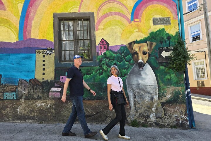 Santiago: Valparaiso, Viña del Mar & Casablanca Wine Tour