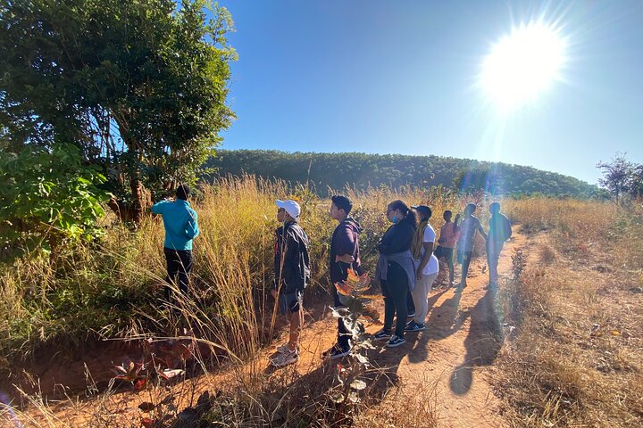 Mulube Cultural Experience – Authentic Zambia Near Lusaka