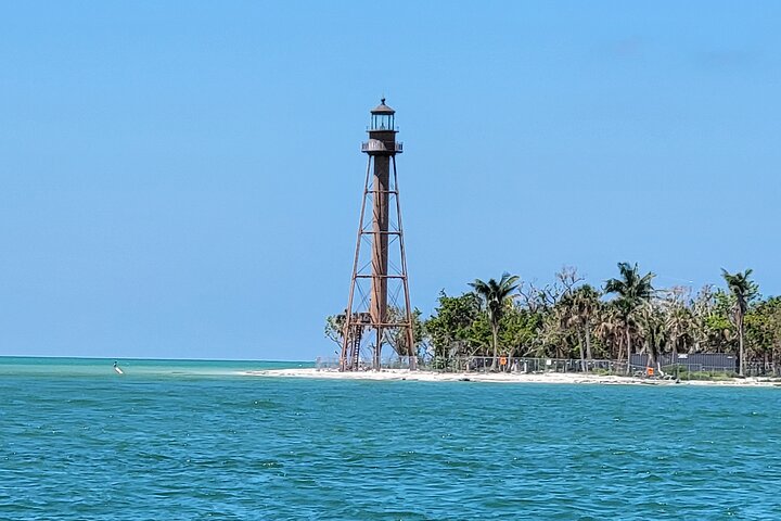 Sunset Dolphin Cruise with Sanibel Lighthouse Views
