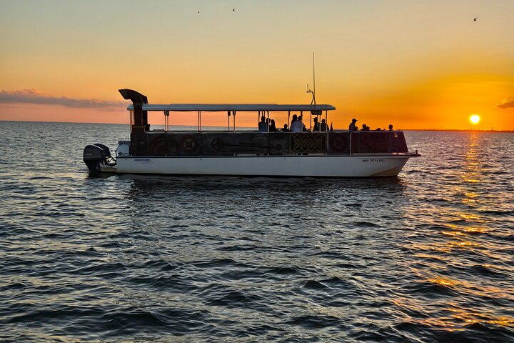 Fort Myers Beach Sunset and Dolphin Watching Cruise
