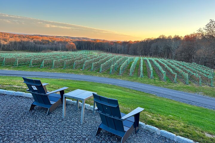Hudson Valley Wineries- Private Transport- OR brewery/distillery