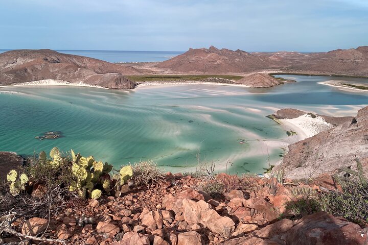 La Paz: Balandra Beach Private Boat Tour — Small Group