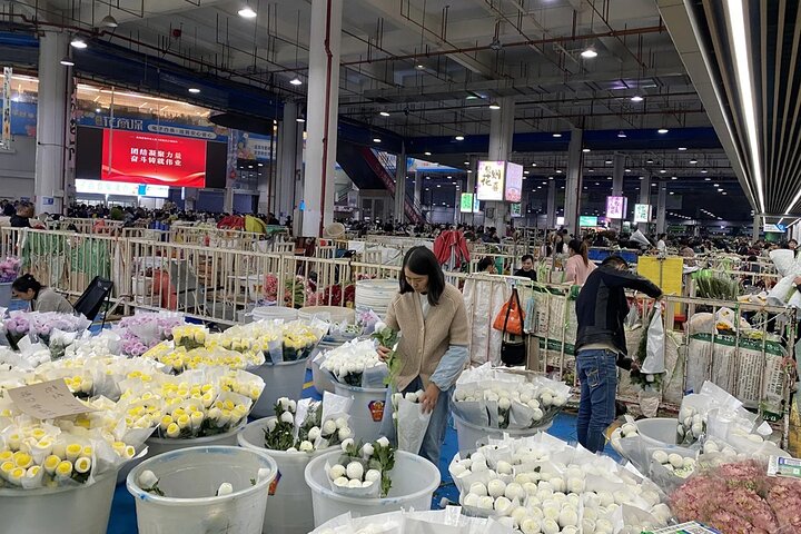 Kunming City Tour with Private Guide