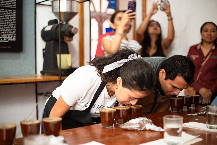 Private Tasting of Chiapas Coffees for 2 Hours