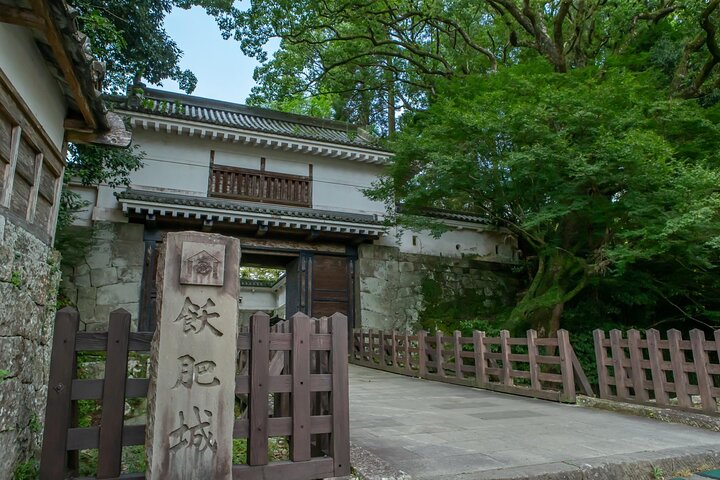 From Aburatsu Port: 1 Day Private Tour to Miyazaki Nichinan