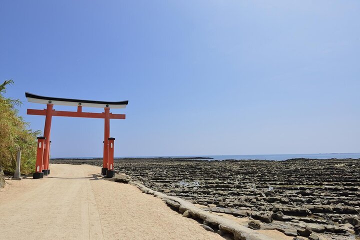 From Aburatsu Port: 1 Day Private Tour to Miyazaki Nichinan