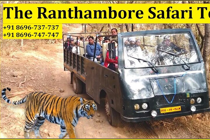 Ranthambore National Park 20 Seater Canter Safari Booking