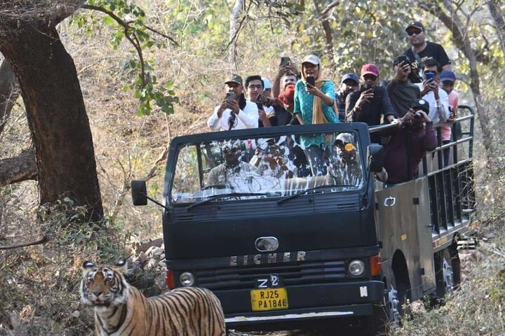 Ranthambore National Park 20 Seater Canter Safari Booking