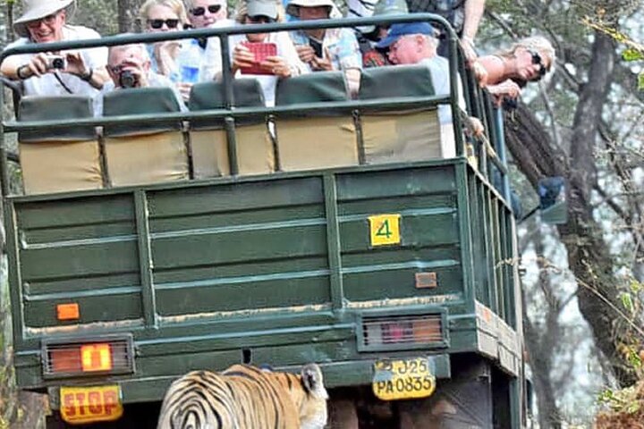 Ranthambore National Park 20 Seater Canter Safari Booking