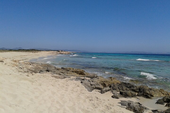 Formentera Tour from Ibiza with Transfer and Beaches
