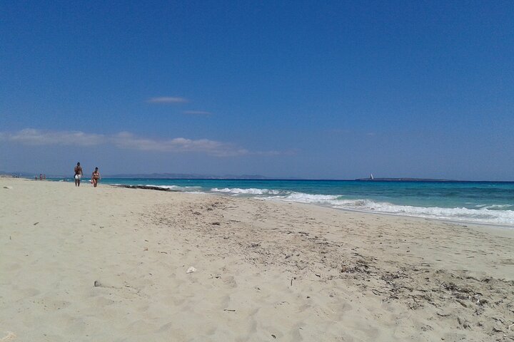 Formentera Tour from Ibiza with Transfer and Beaches
