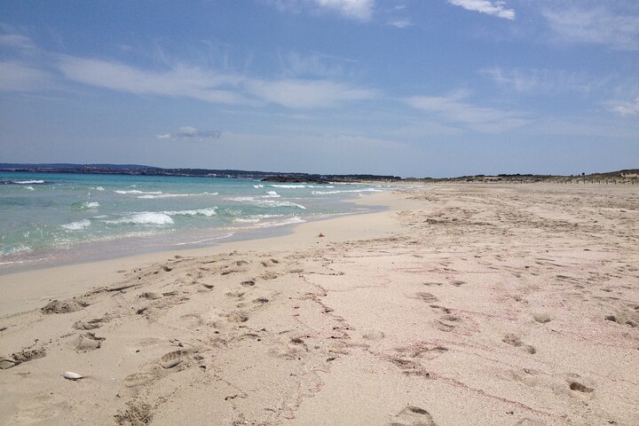Formentera Tour from Ibiza with Transfer and Beaches