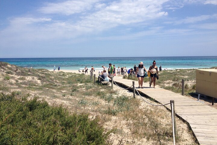 Formentera Tour from Ibiza with Transfer and Beaches