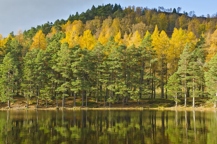 Speyside Whisky Small Group Tour from Aviemore with Entry Ticket