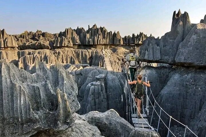 Morondava Tour : 3-day to Tsingy of Bemaraha & Baobab avenue