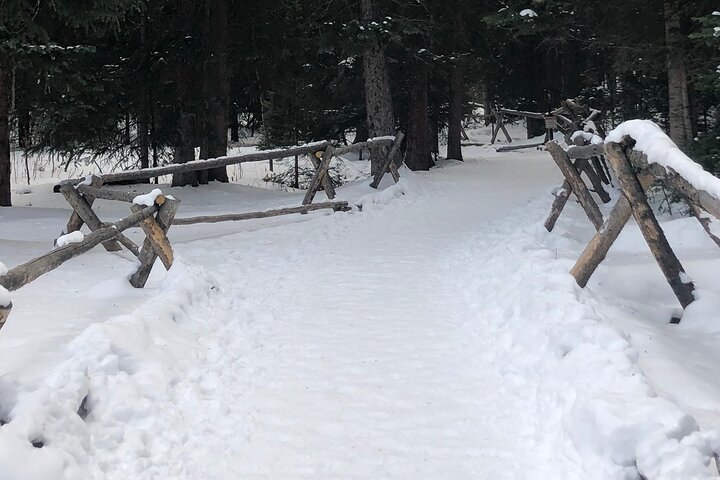 Ridden-Ebike Guided Tour of Breckenridge