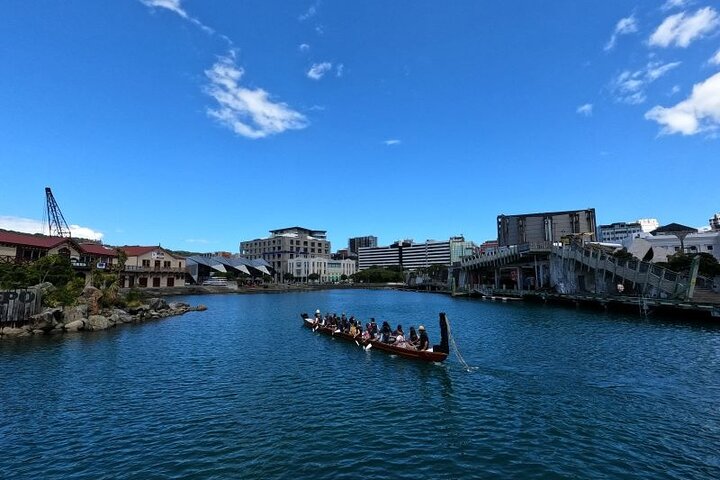 Discover Wellington 3 hour City Tour