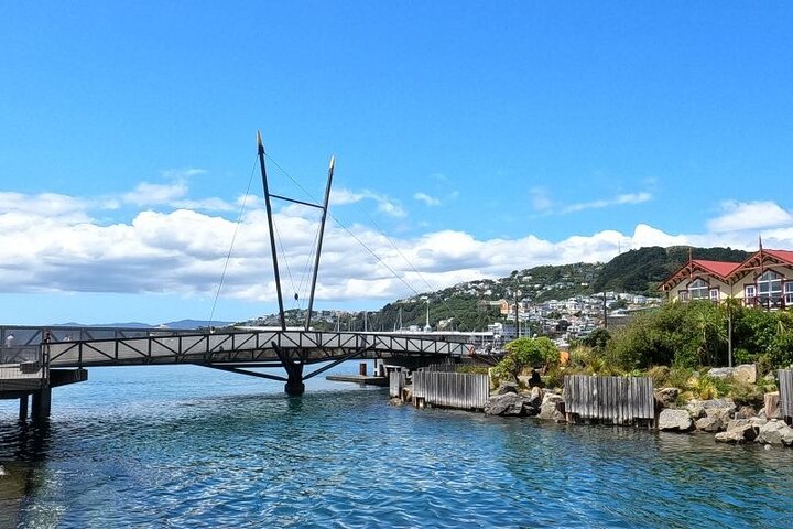 Discover Wellington 3 hour City Tour