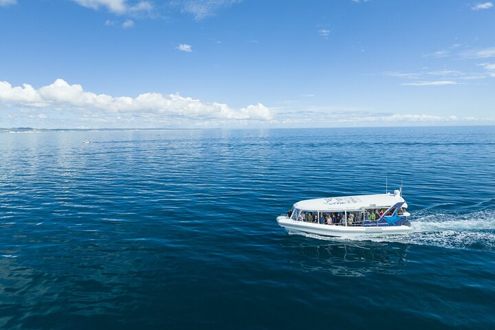 Hervey Bay Ultimate Whale Watching Cruise