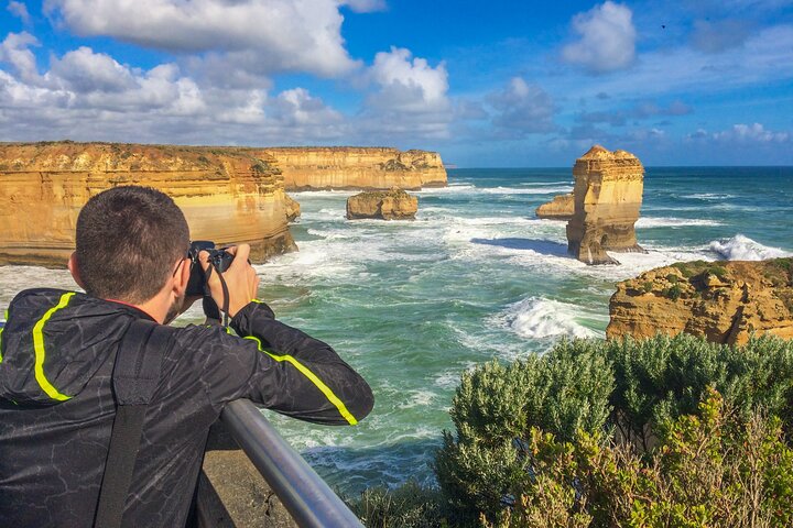 Great Ocean Road Small-Group Eco Tour from Melbourne