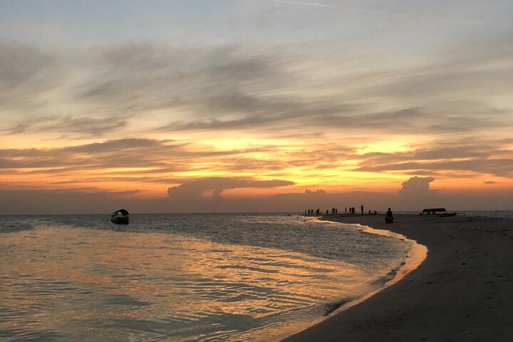 Full day: Snorkeling Dolphin Aquarium Turtles Sunset Kendwa Beach