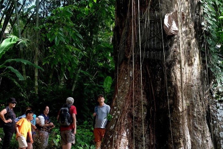 Explore Toraja Culture Heritage in 3 Days from Makassar