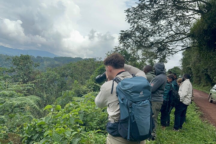 1 Day Gorilla Tracking Trip, Bwindi Impenetrable National Park