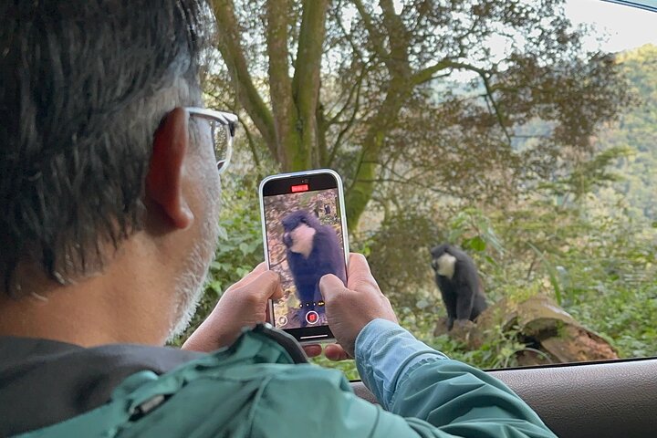 1 Day Gorilla Trekking Mgahinga Gorilla NP & Lake Bunyonyi