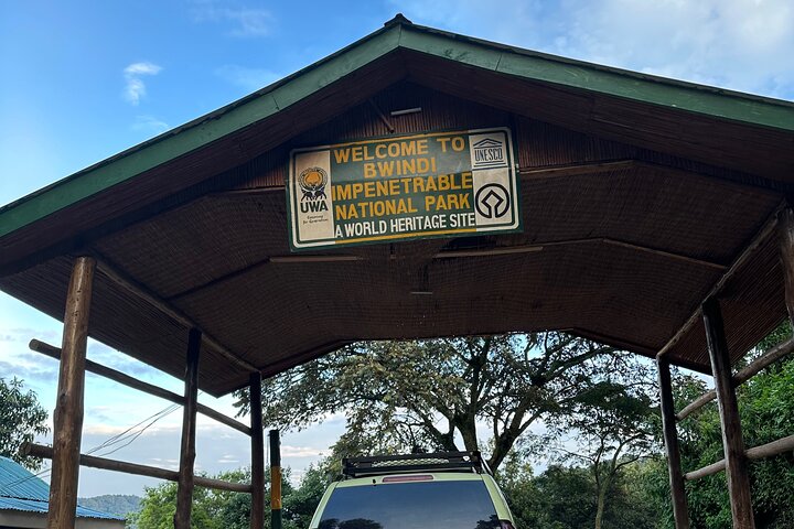 1 Day Gorilla Trekking Mgahinga Gorilla NP & Lake Bunyonyi