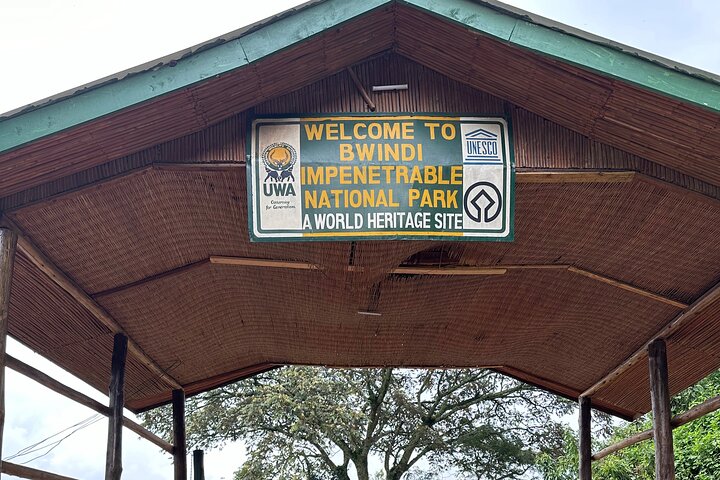 1 Day Gorilla Tracking Trip, Bwindi Impenetrable National Park