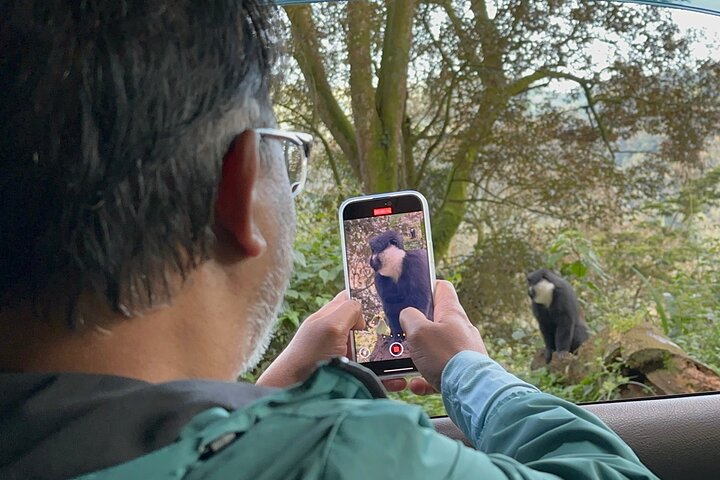 1 Day Gorilla Tracking Trip, Bwindi Impenetrable National Park
