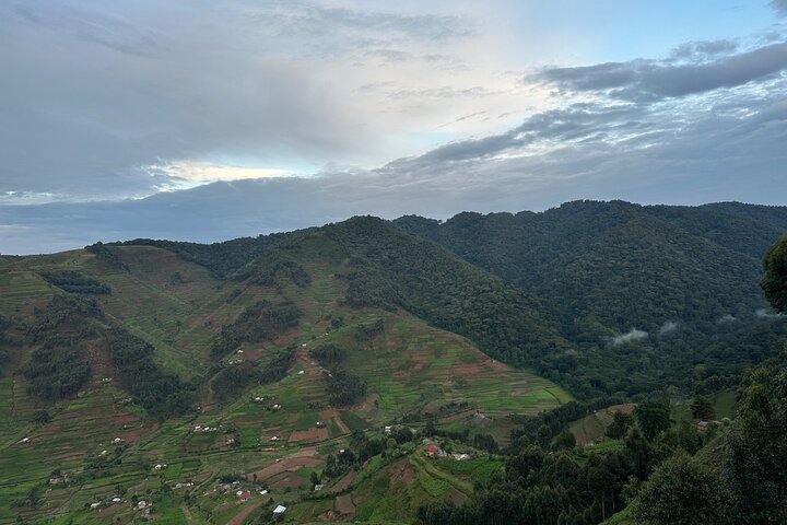 1 Day Gorilla Tracking Trip, Bwindi Impenetrable National Park