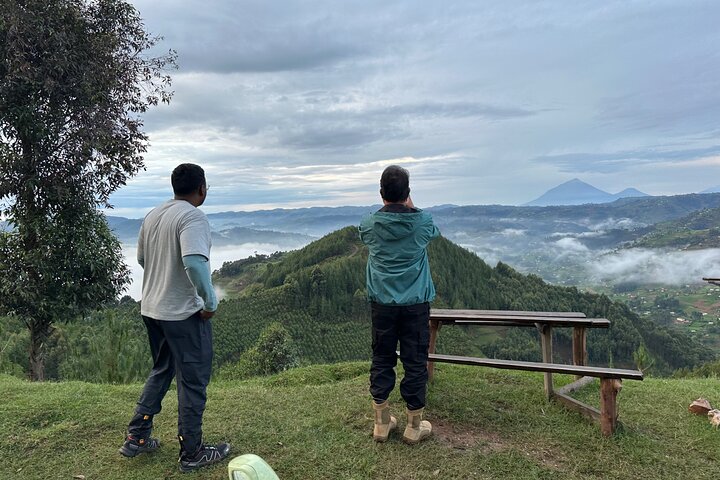1 Day Gorilla Tracking Trip, Bwindi Impenetrable National Park